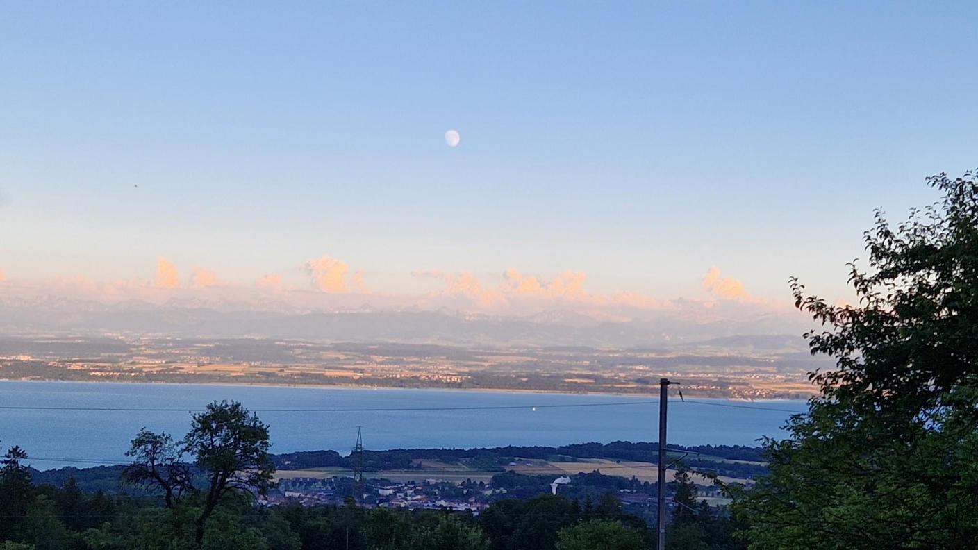 Top Suisse alla Felco Tramonto a Neuchâtel