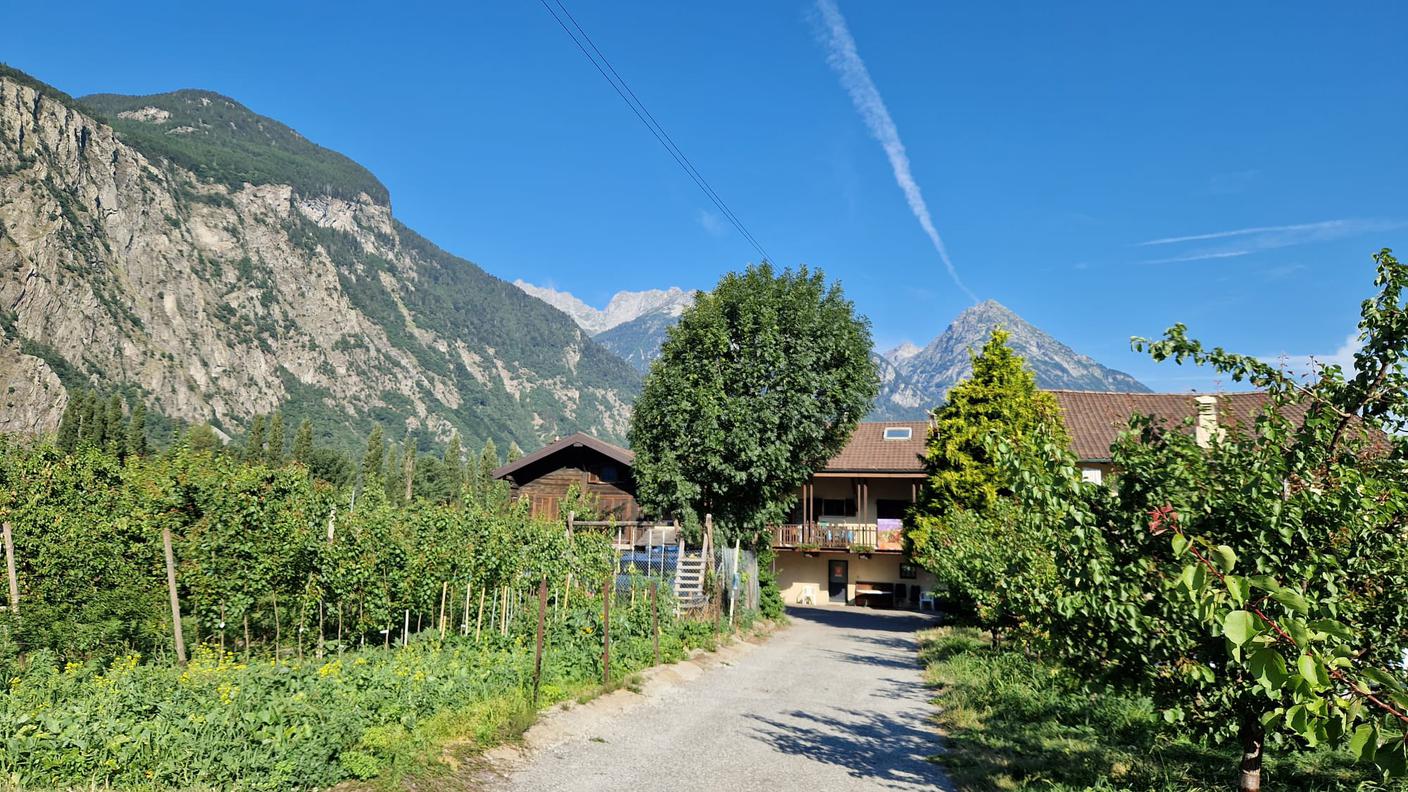 Millevoci Top Suisse a l'Abricot du Valais
