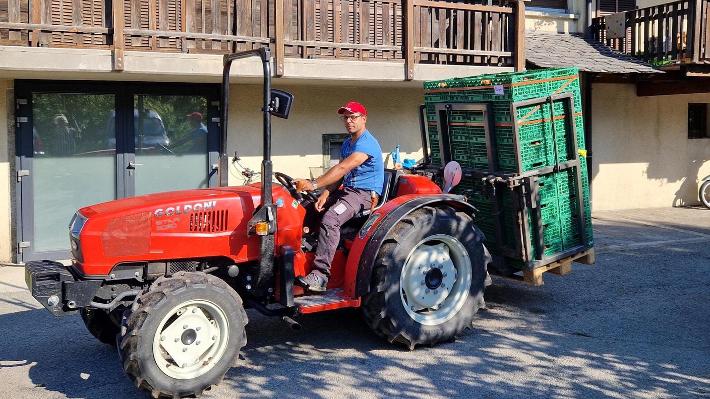 Millevoci Top Suisse a l'Abricot du Valais