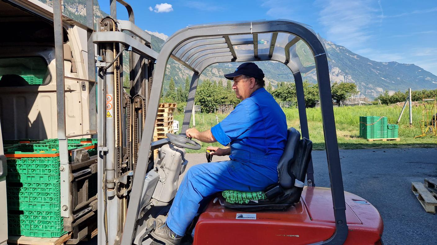 Millevoci Top Suisse a l'Abricot du Valais con Il boss Bernard Lucciarini in azione