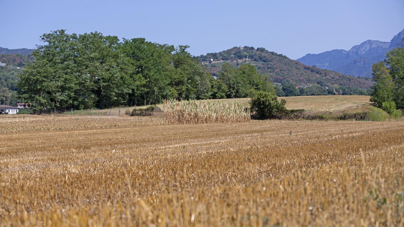 Mendrisiotto nella morsa della siccità