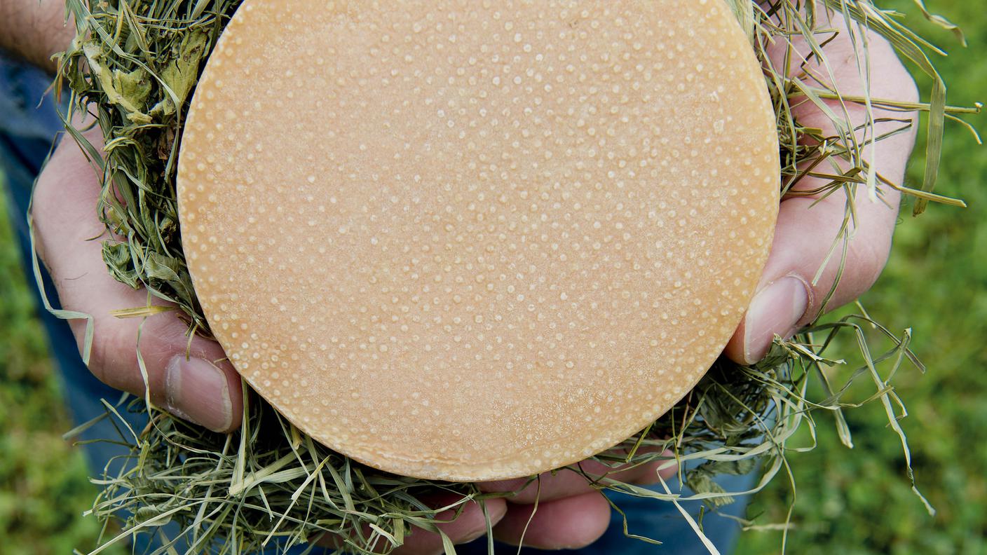 Padiglione Svizzero, Expo2015, formaggio