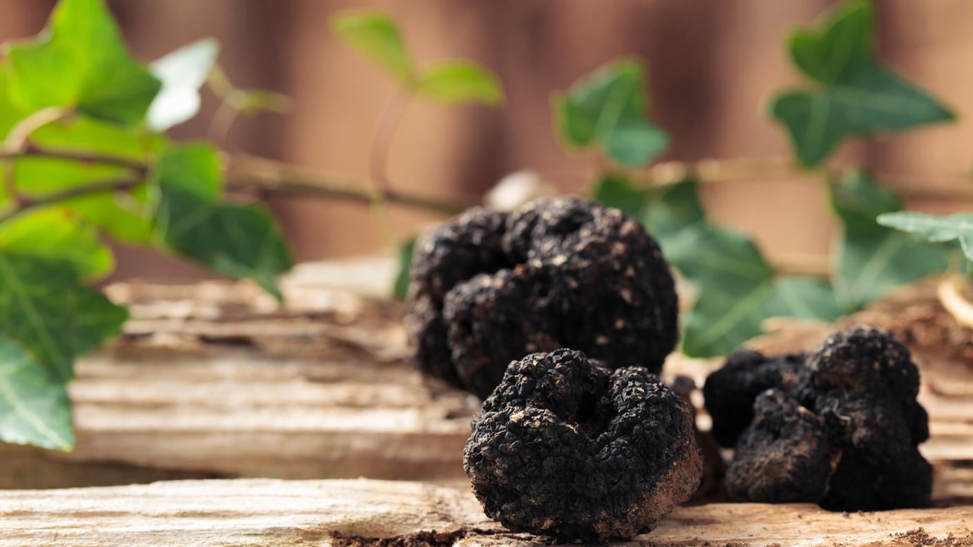 Tartufo di Borgogna