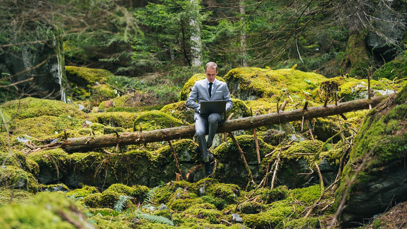 uomo d'affari lavorare nel bosco con computer, Vivere per lavorare o lavorare per vivere