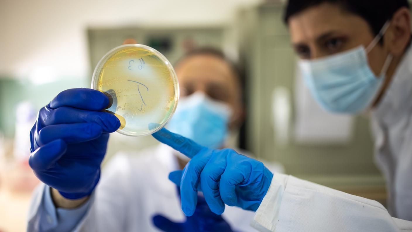 Resistenza agli antibiotici, microbiologi con la piastra di Petri in laboratorio