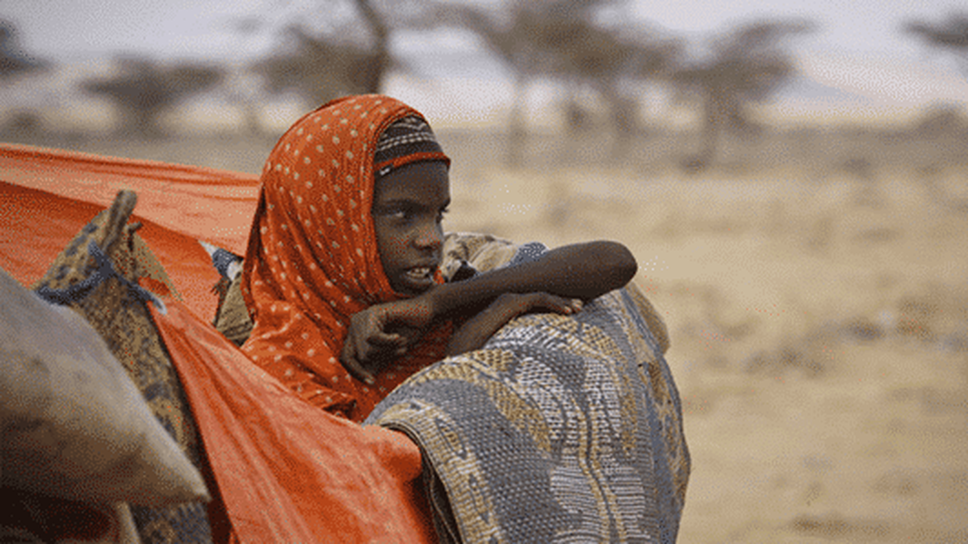 Carestia in Africa, Catena della Solidarietà