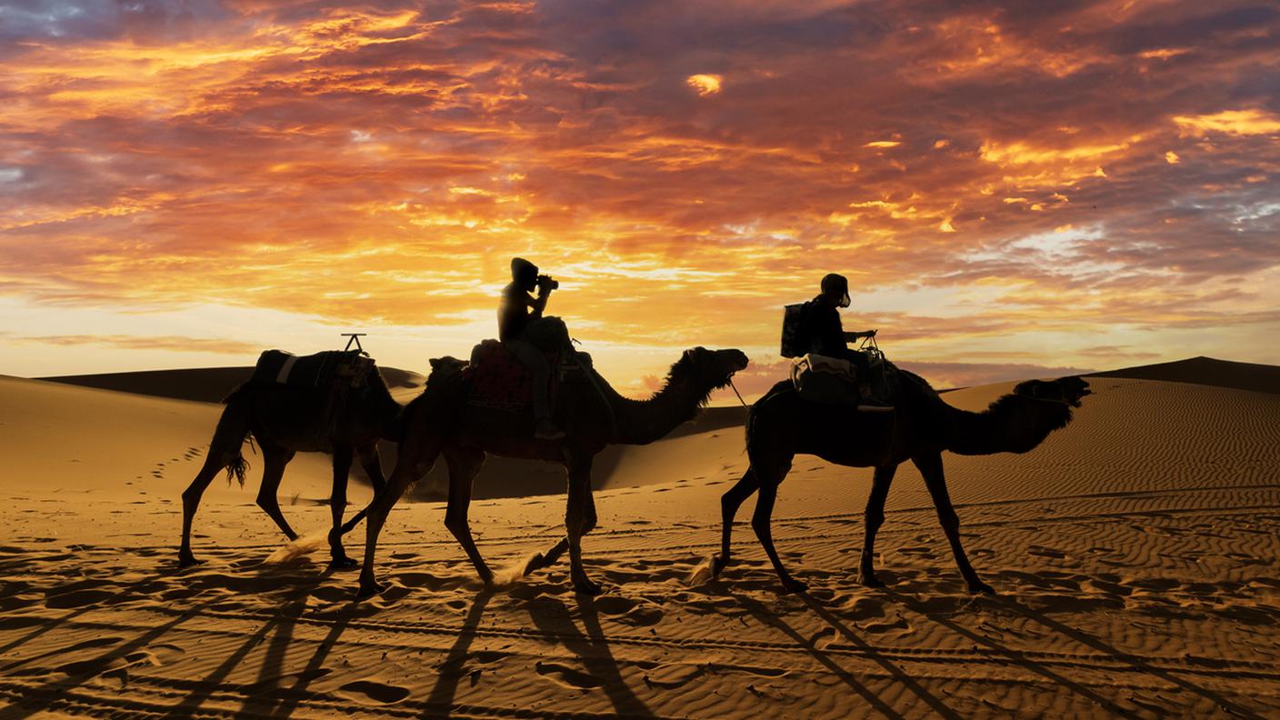 MERS covid, virus del cammello