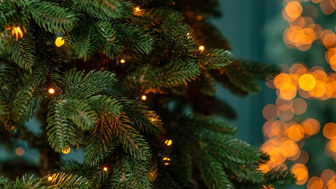 Albero di Natale