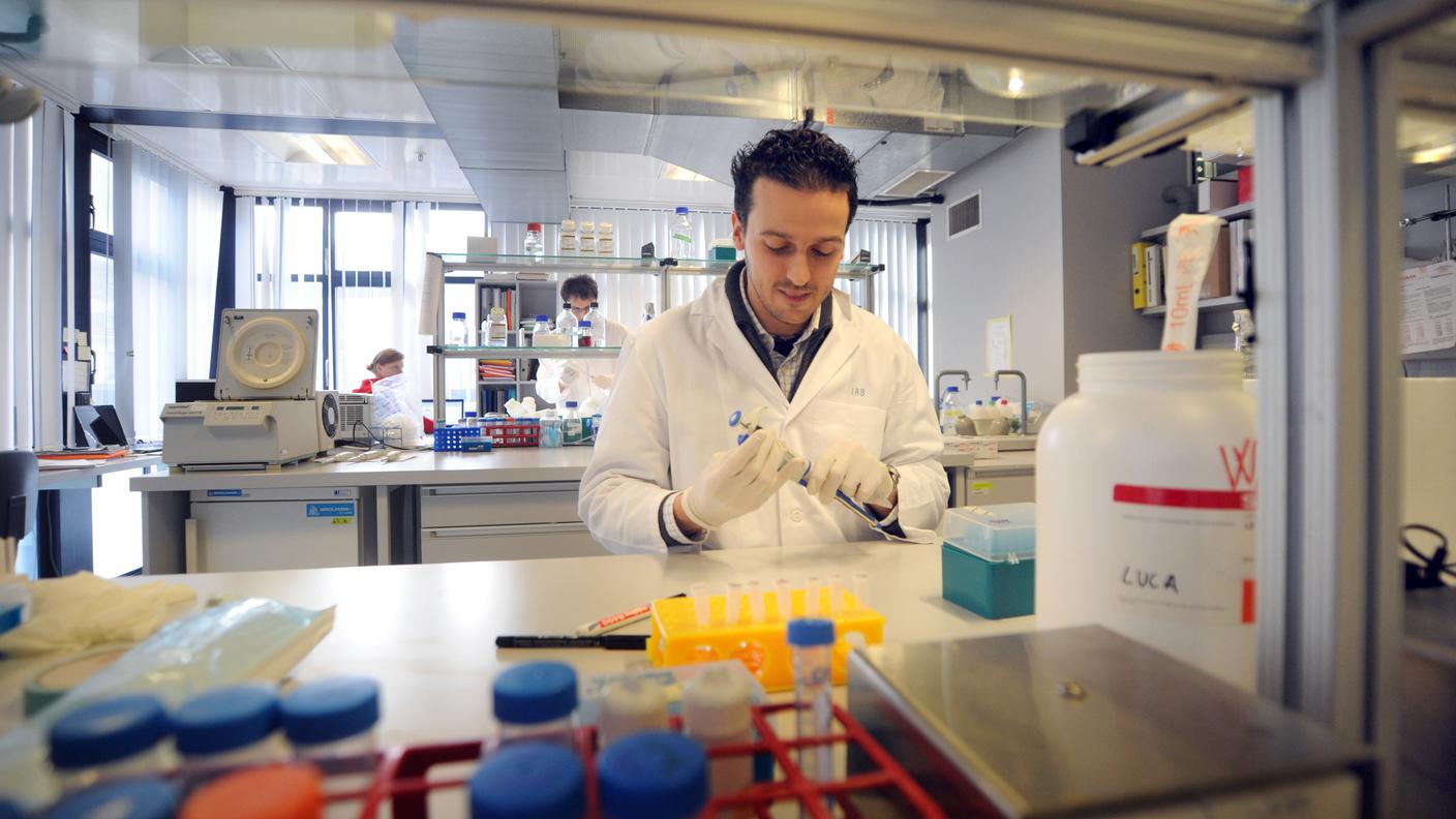 L'Università punta sulla medicina
