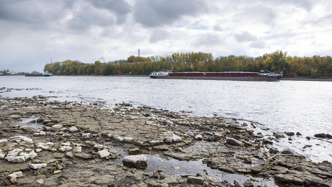Acque basse sul fiume Reno
