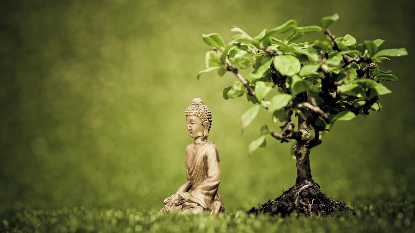 100 anni di Siddharta e una riqualificazione a Vevey (2./3)