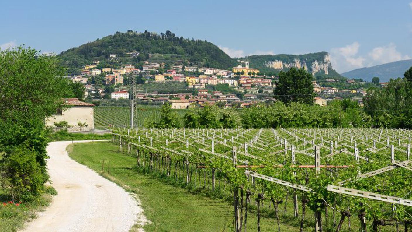 iStockphoto, Campagna
