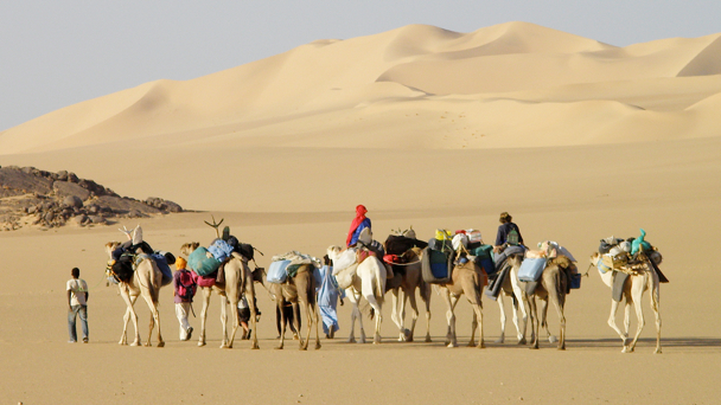 Carovana, deserto, Sahara centrale, cammelli