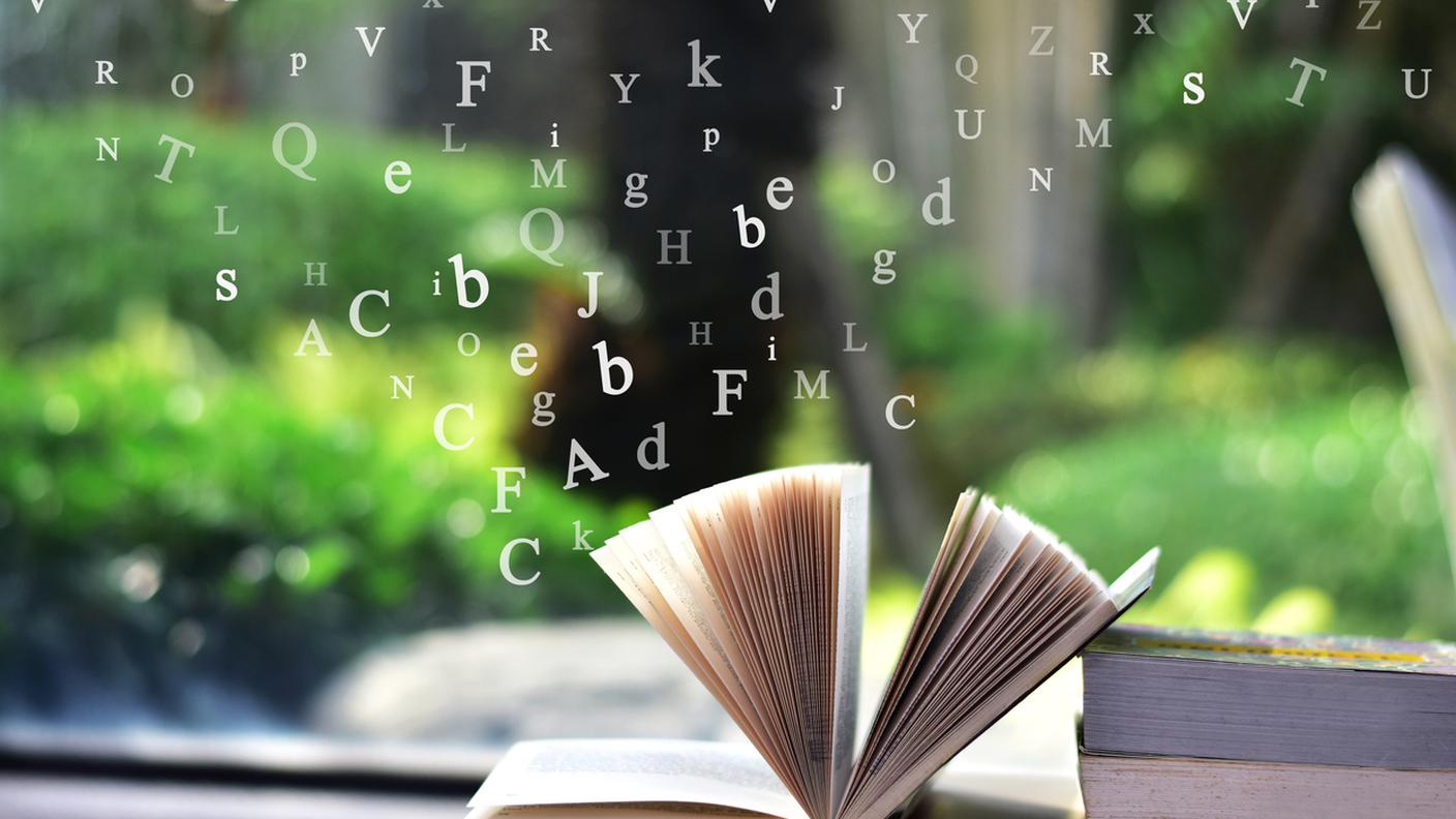 iStock-Libro aperto sul tavolo e alfabeto inglese che fluttua sopra il libro nella biblioteca e sfondo sfocato della libreria. Foto stock
Antico, Articolo, Ritorno a scuola, Scaffale, Libreria