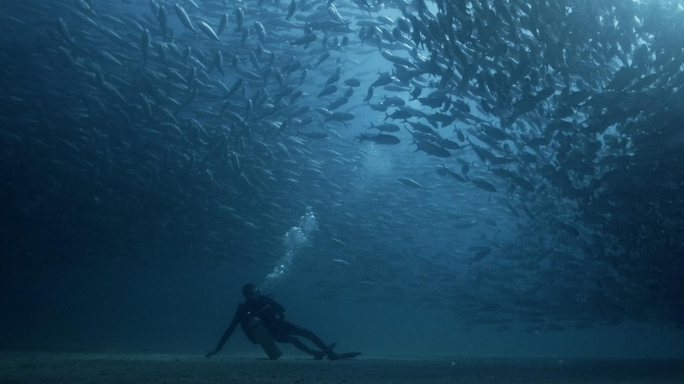 Leggerezza sommersa_stills_web_17.jpg