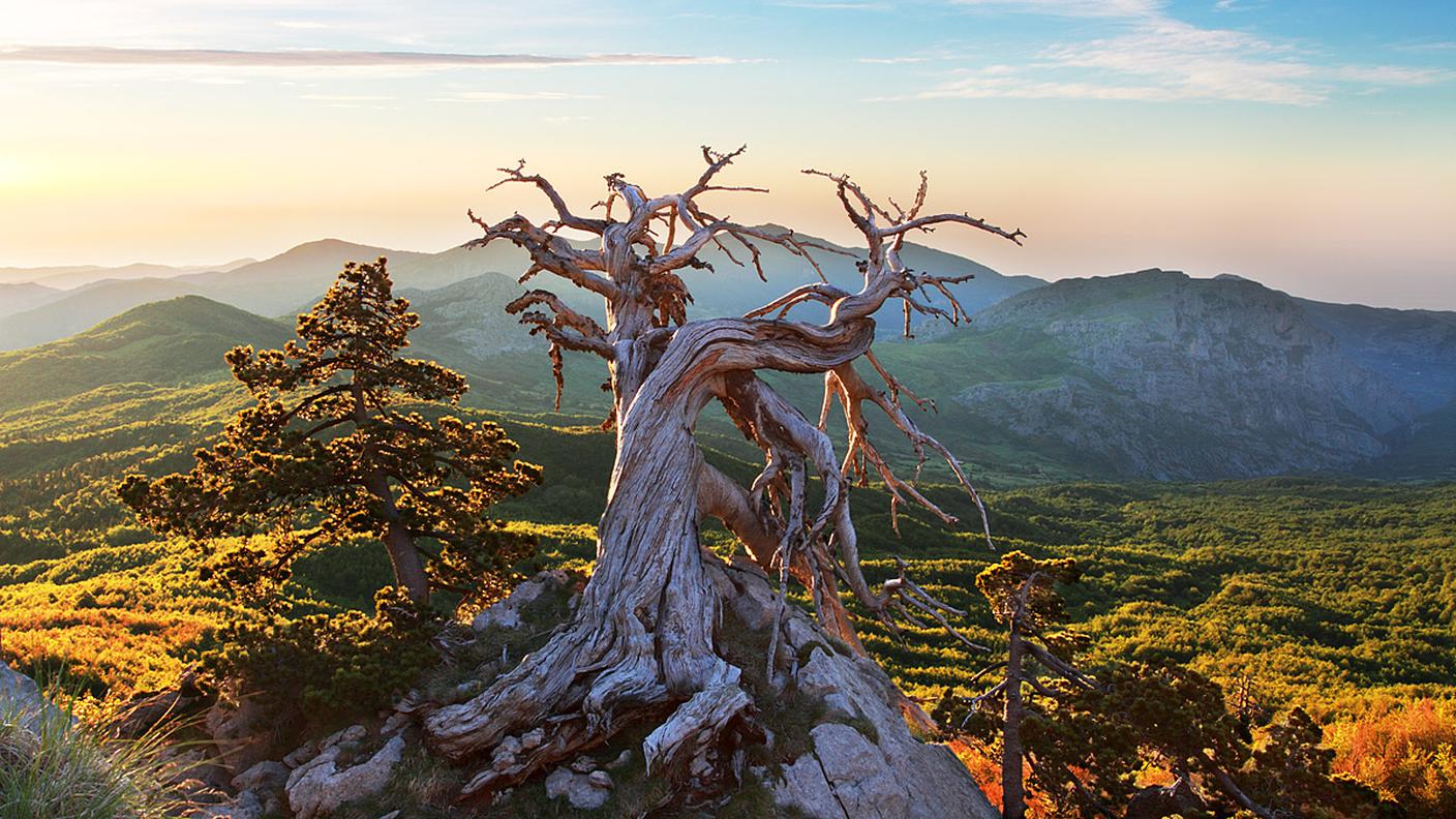 Il Parco naturale del Pollino