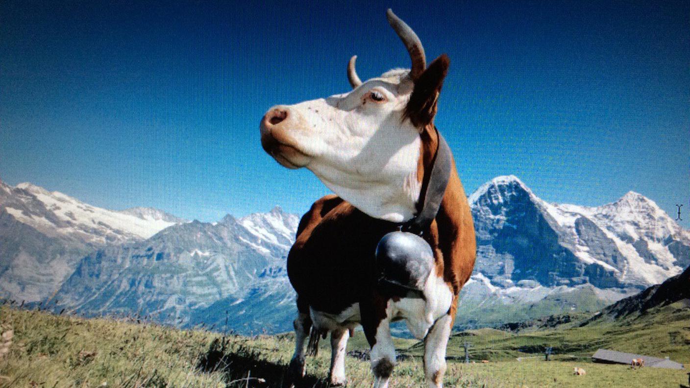 svizzera