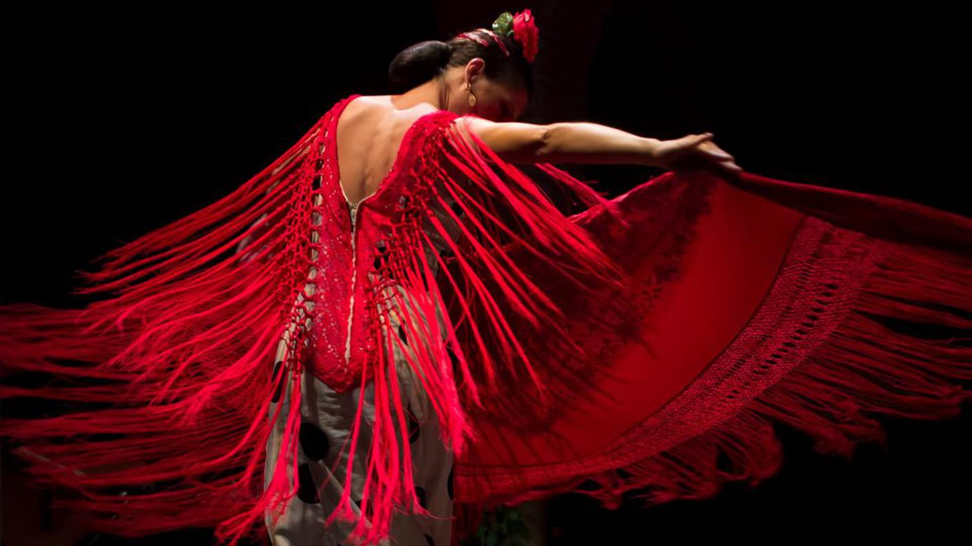 flamenco