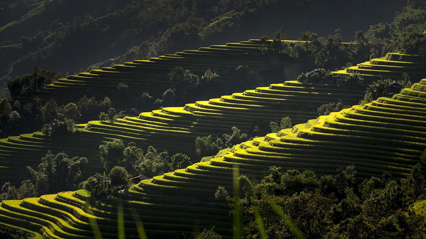 Vietnam