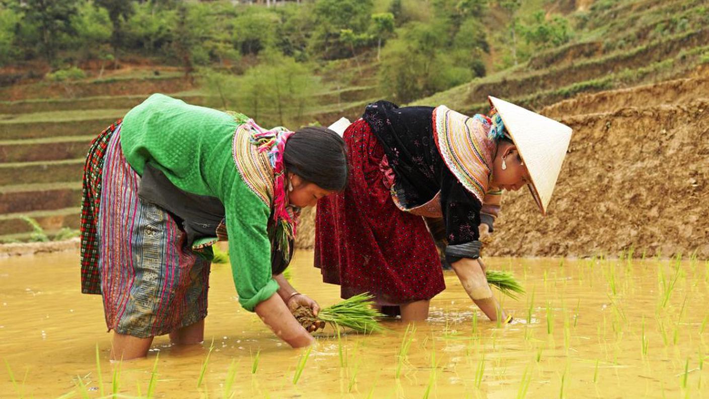 Vietnam