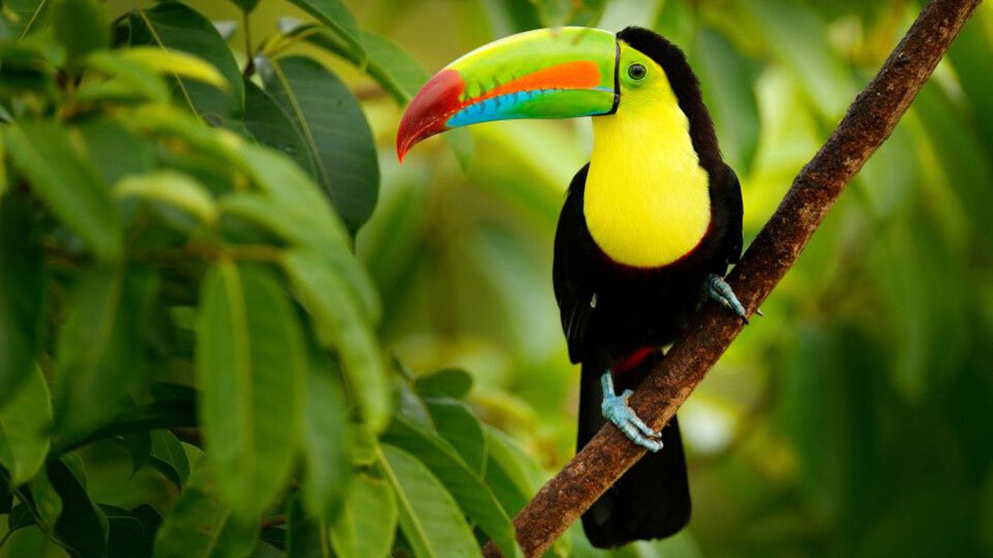 Costa Rica