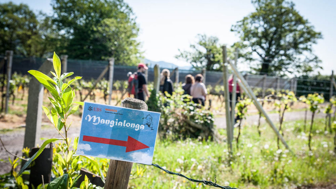 Mangialonga_2014