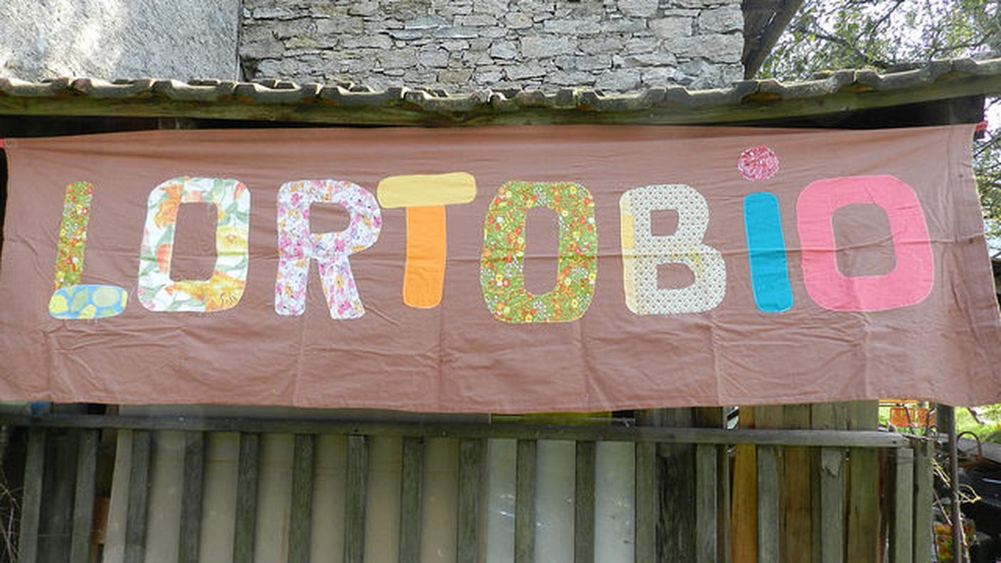 LORTOBIO di Sant’Antonino