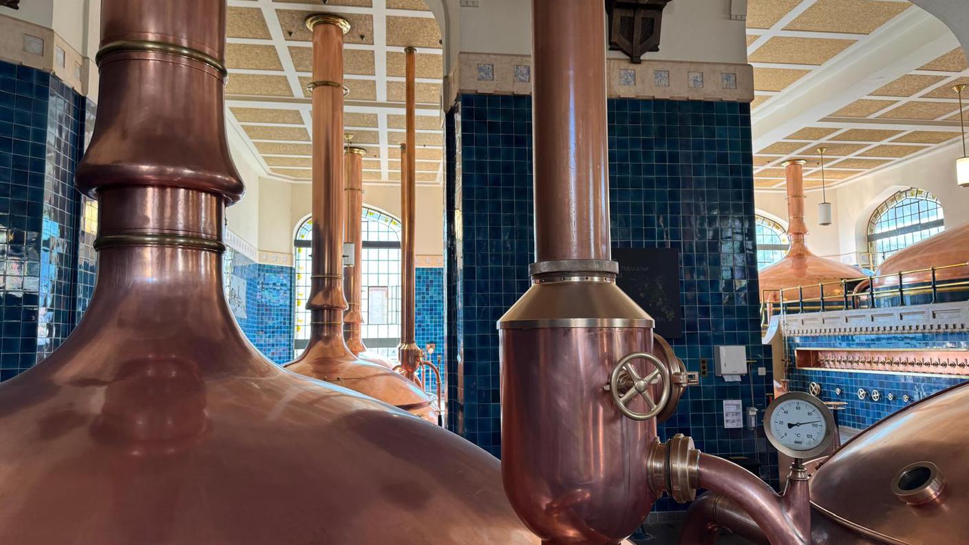 Le caldaie per produrre la birra Feldschlösschen