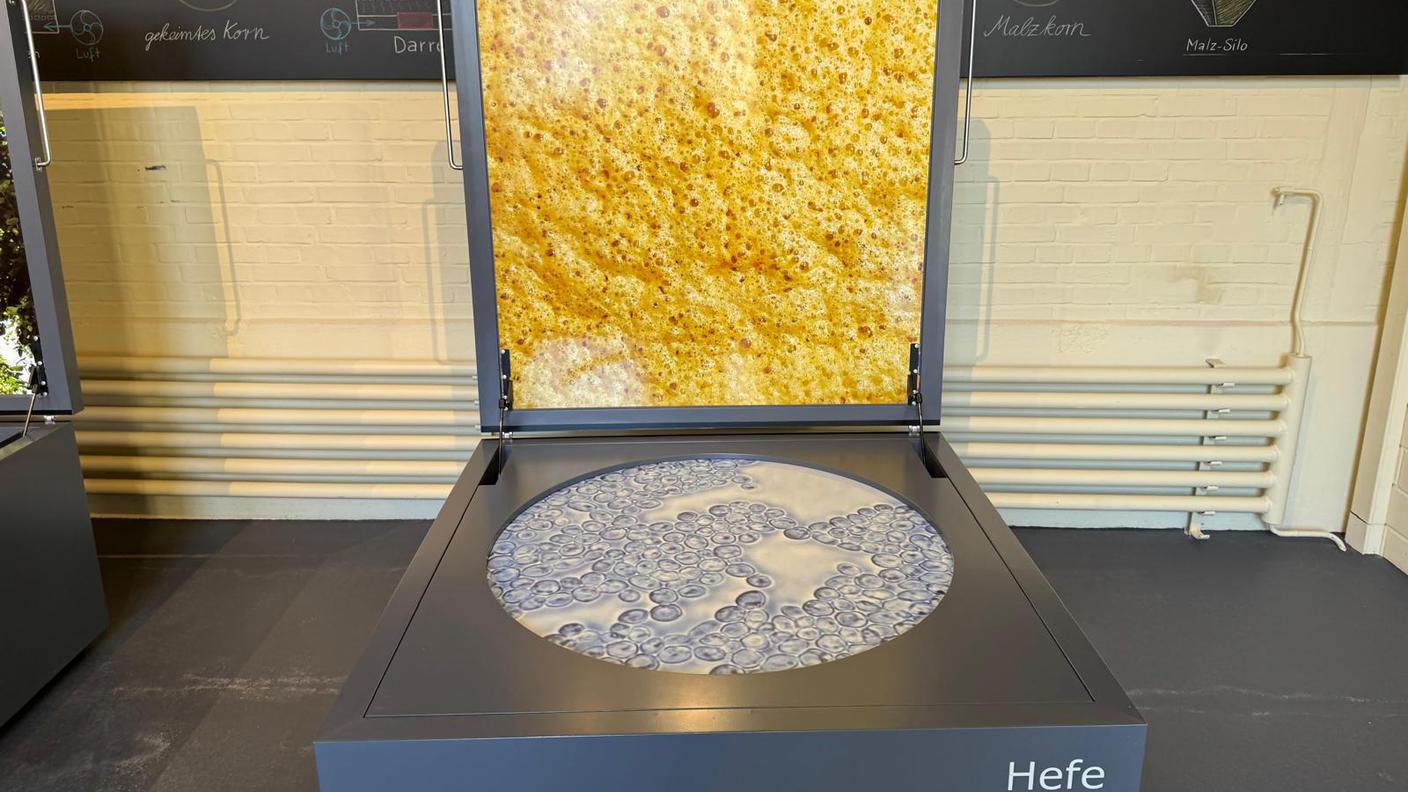 Il museo della Feldschlösschen