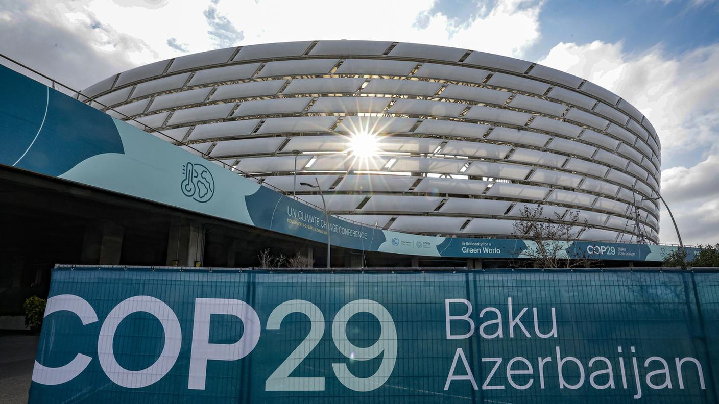 COP29
