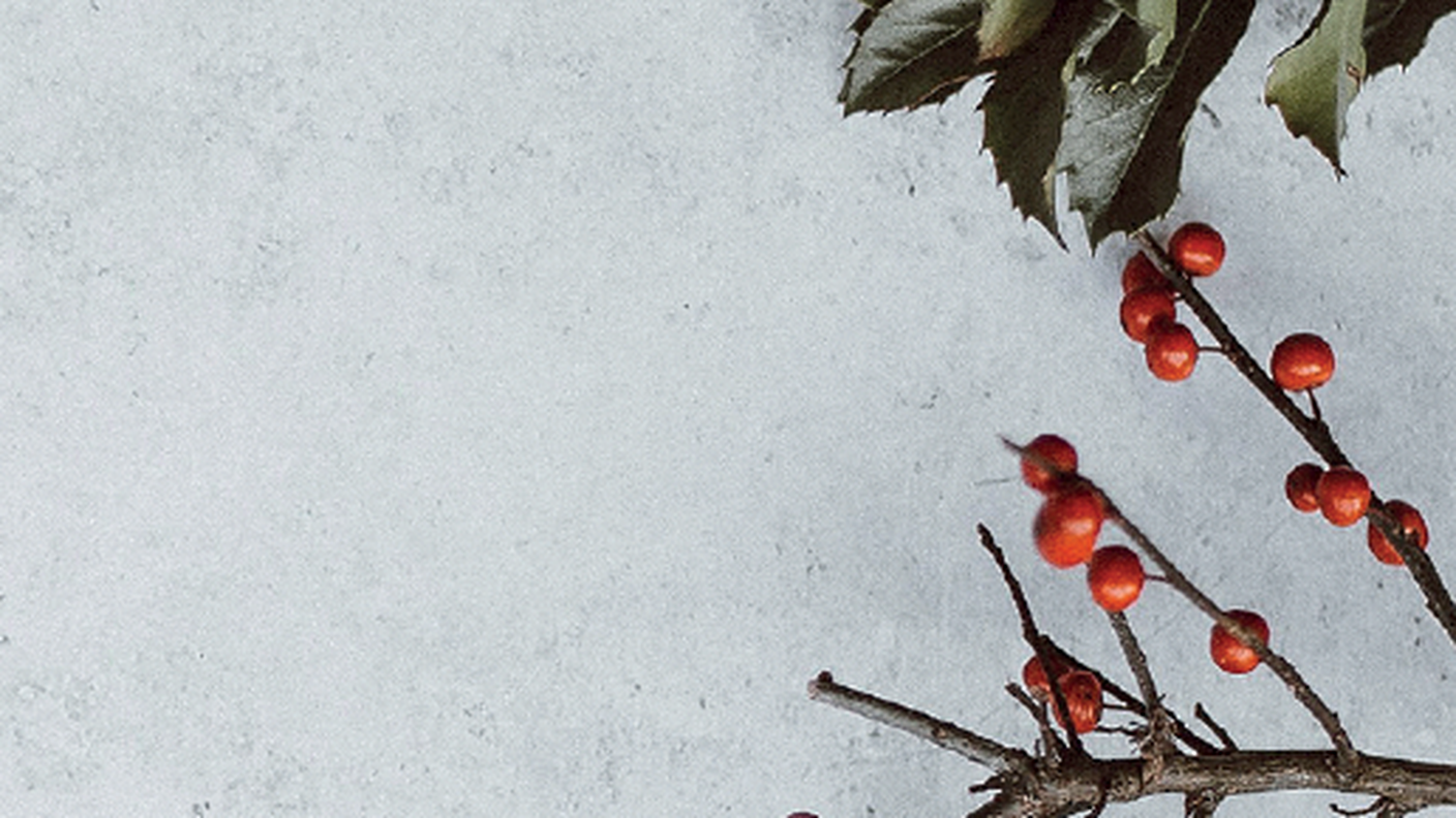 "E adesso?", “Un Natale di storie a Mendrisio” di Dada Montarolo, Gabriele Capelli Editore (dettaglio di copertina)