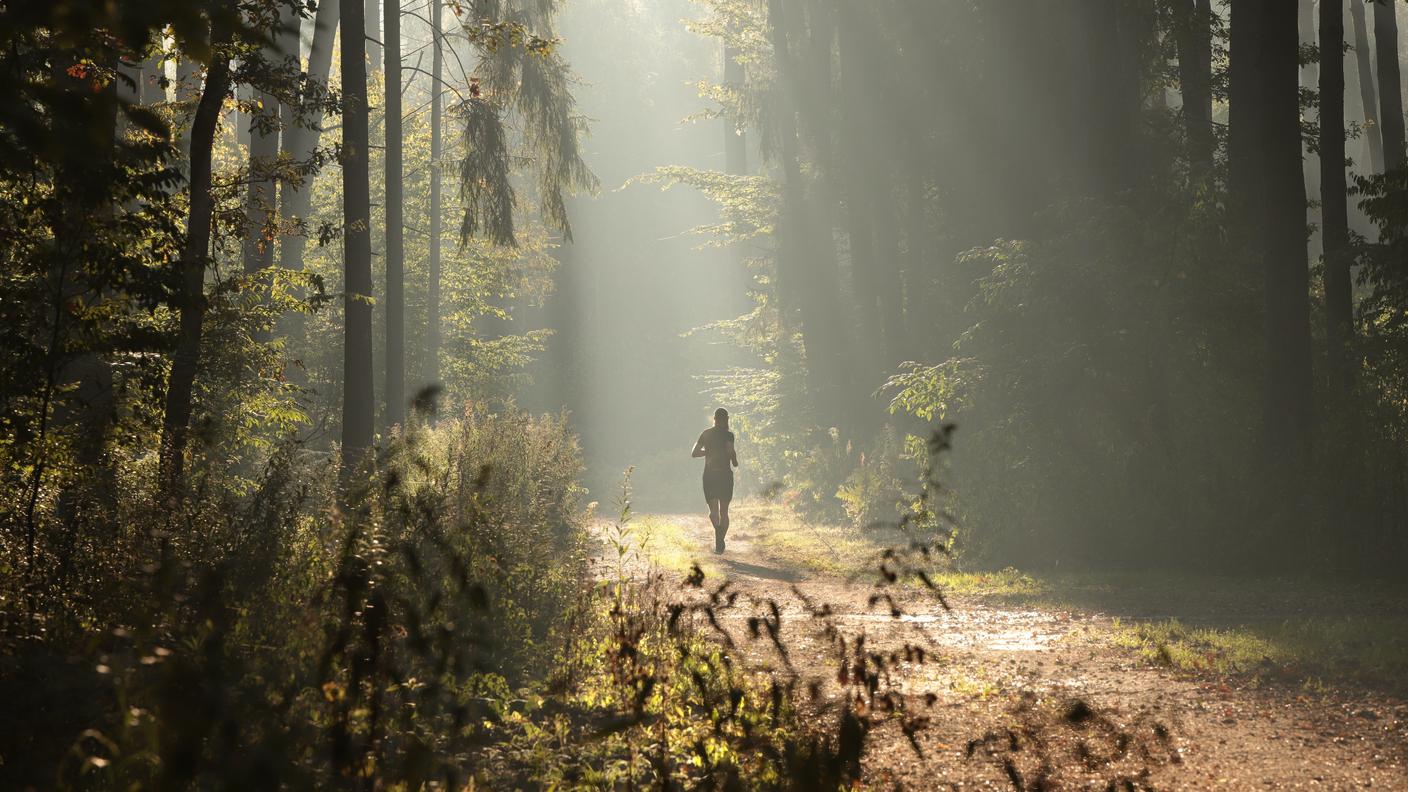corsa nel bosco