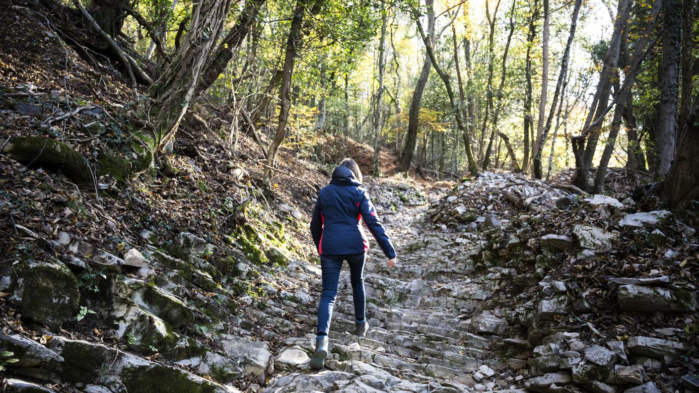 sentiero del Monte San Giorgio .jpg