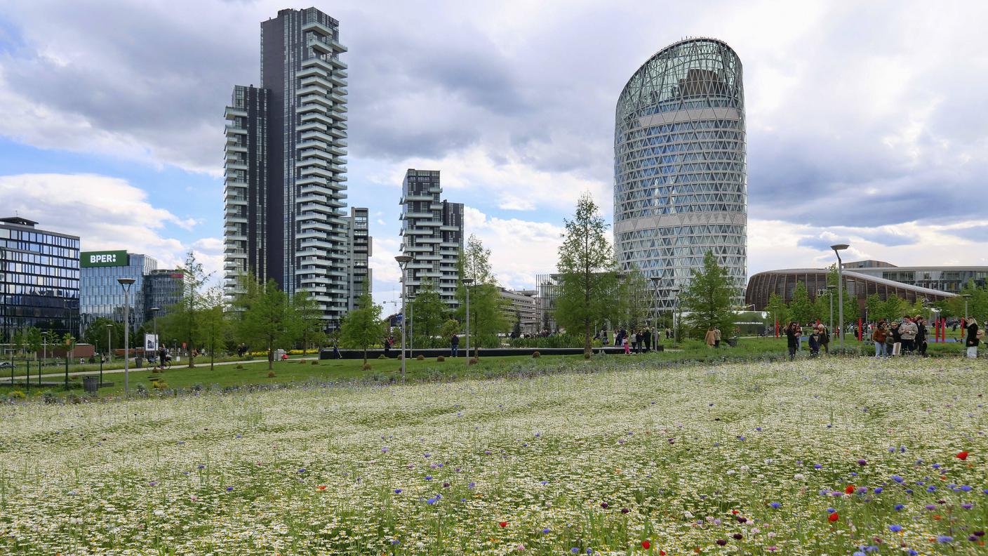 Parco a Milano.jpg
