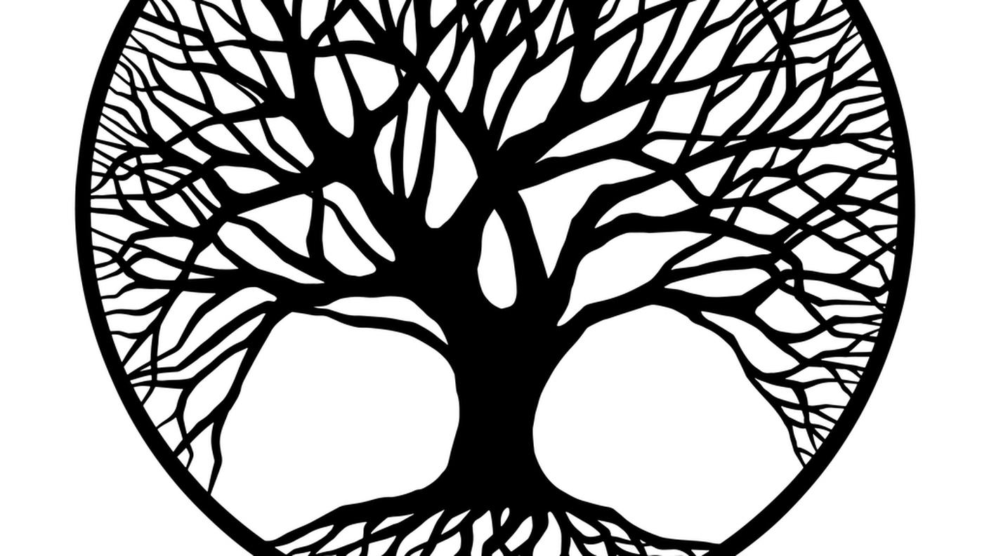 albero della vita