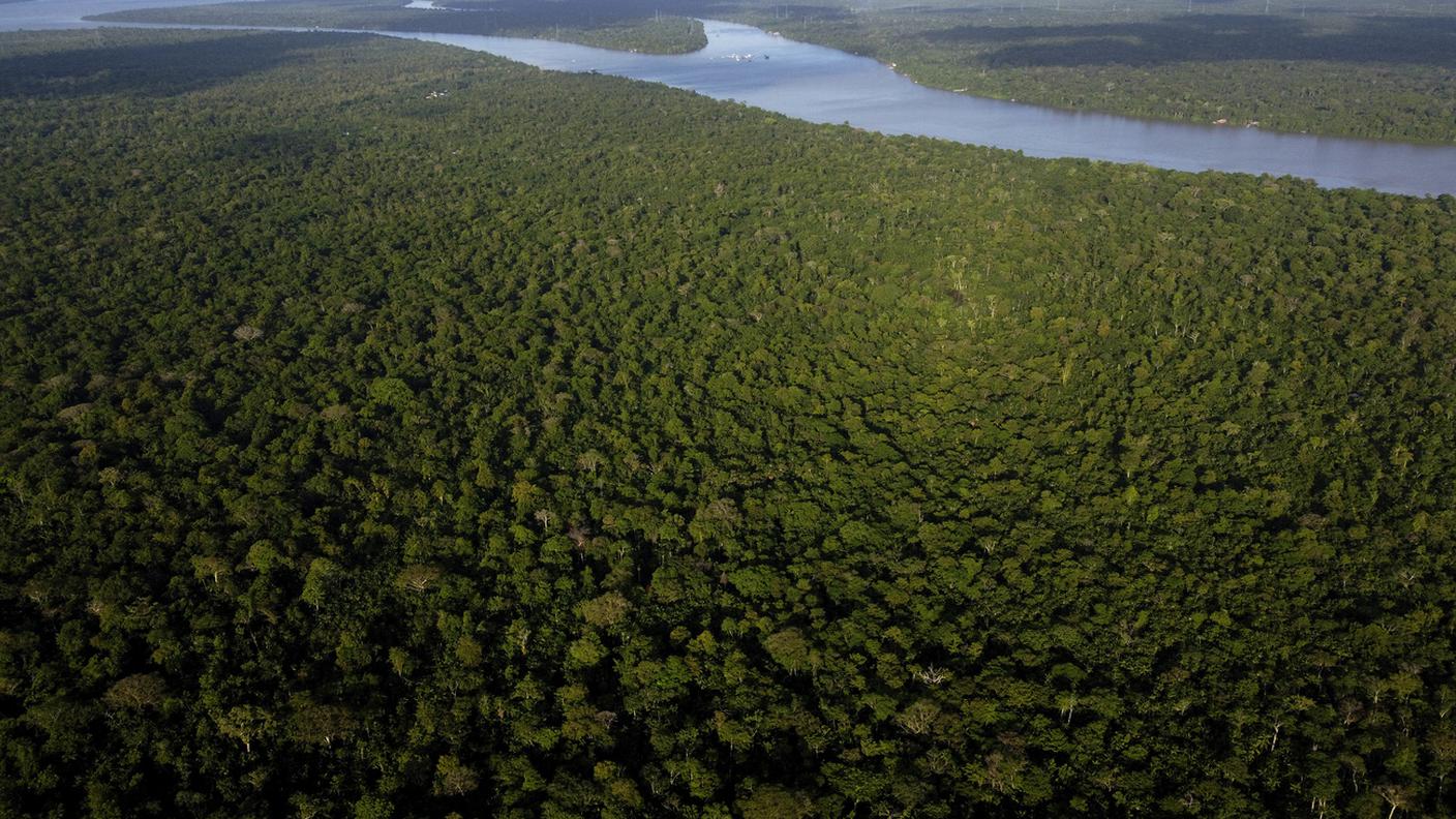 Amazzonia 