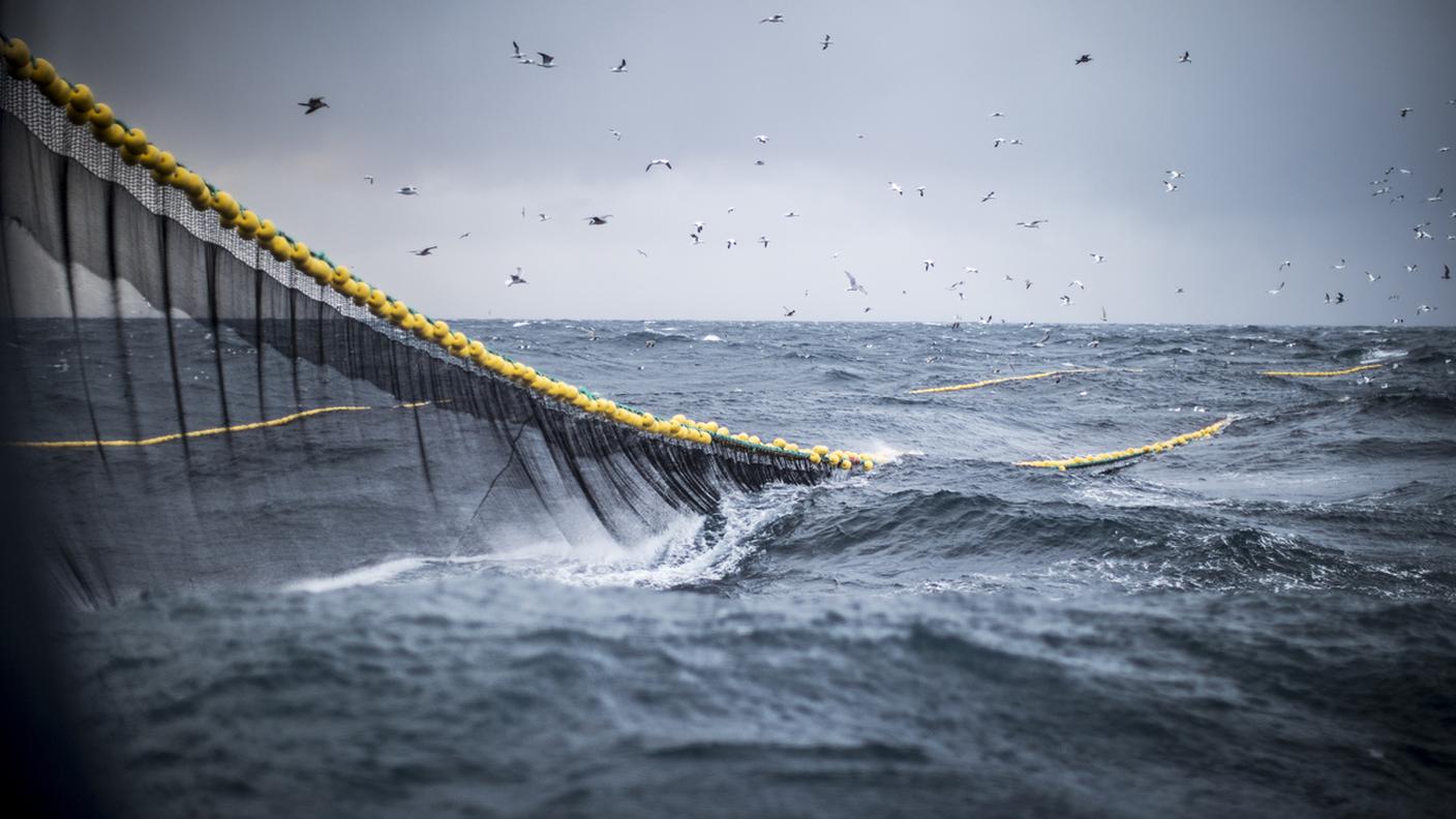 pesca a strascico