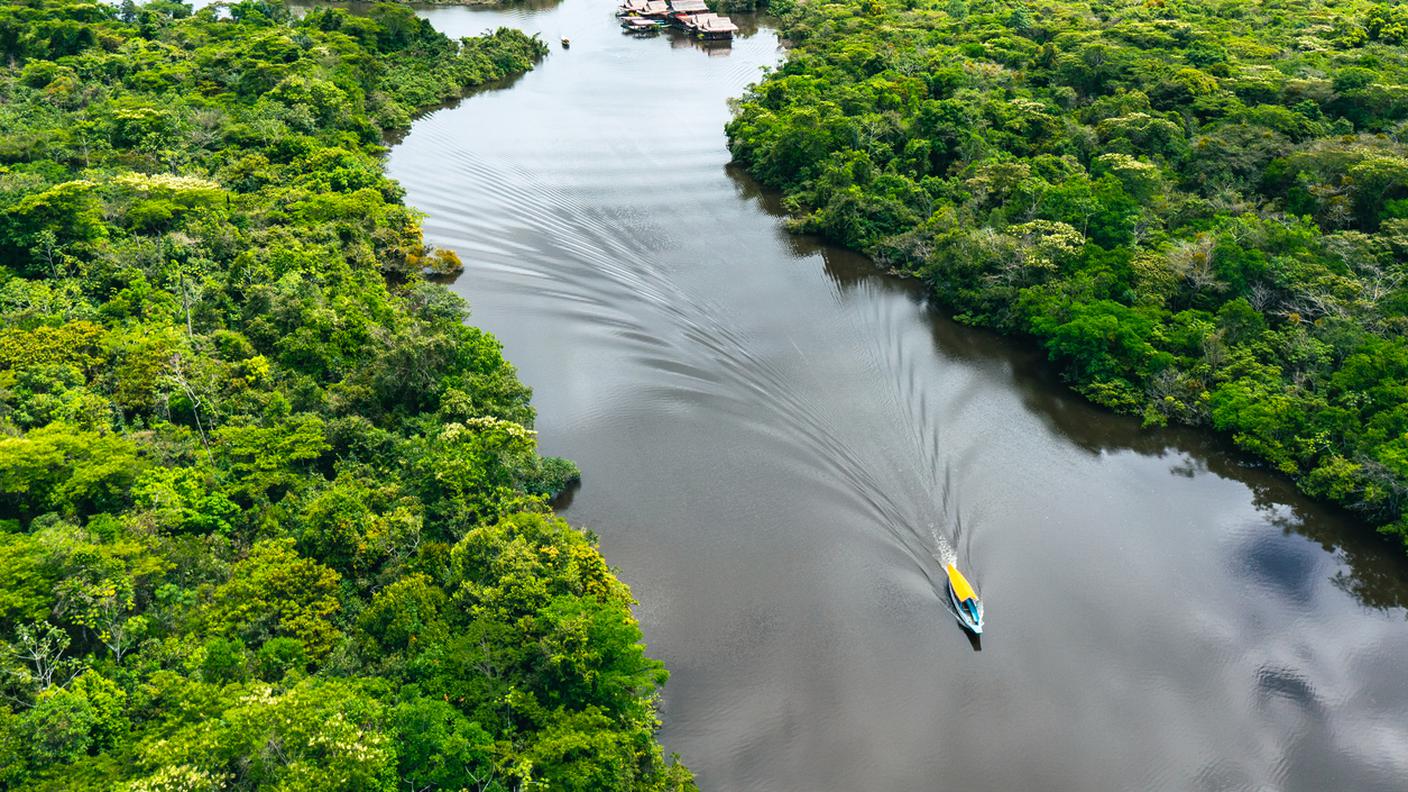 Amazzonia 