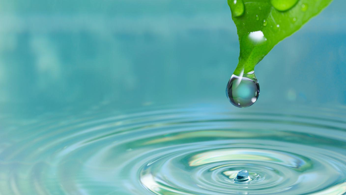 Acqua, fonte di vita, Foglia verde con acqua goccia 