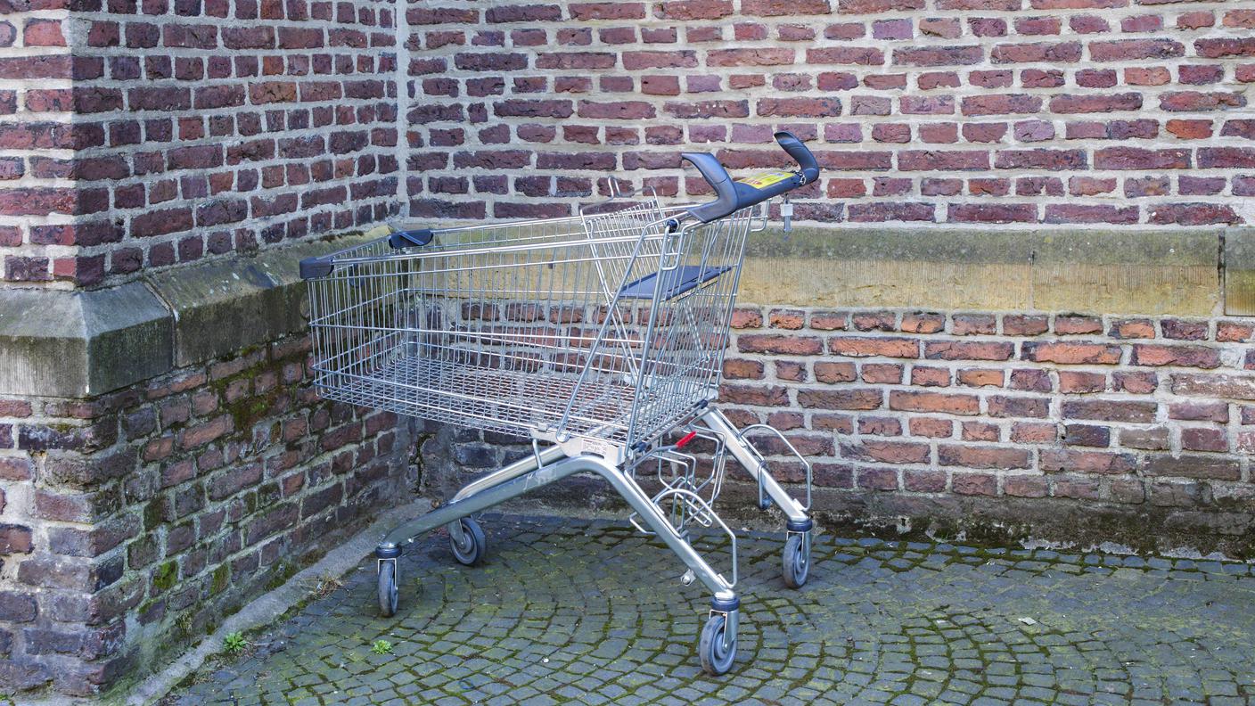 carrello spesa