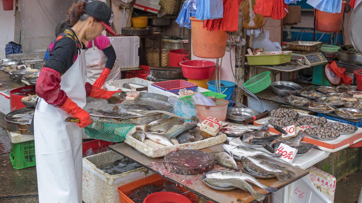 Fish counter