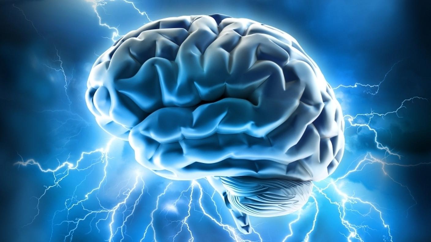 Cervello, scienza, immaginazione, organo
