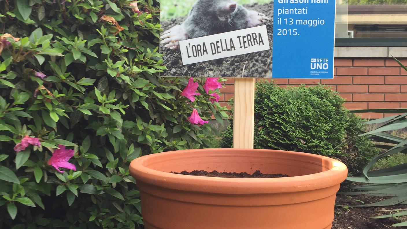Ecco fatto, seguiamo insieme la loro crescita!