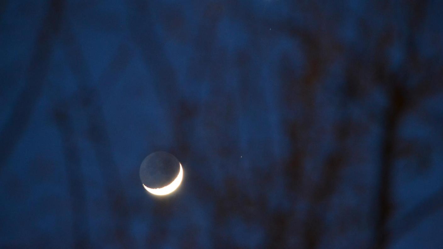 Luna MoonVenus di Rezzonico Fabio 