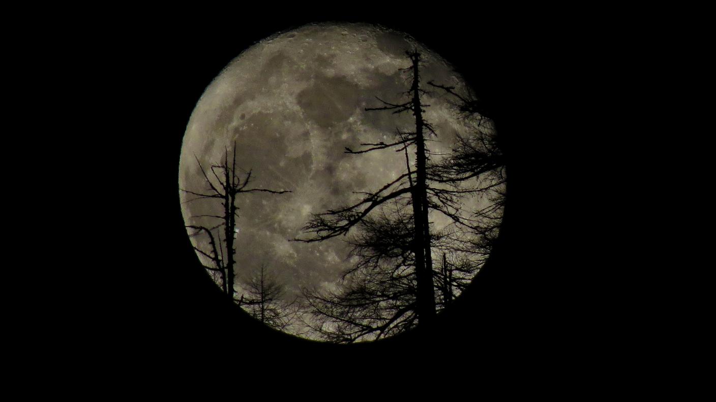 Luna: durante le vacanze natalizie a Campo Blenio di Stefania Camponovo