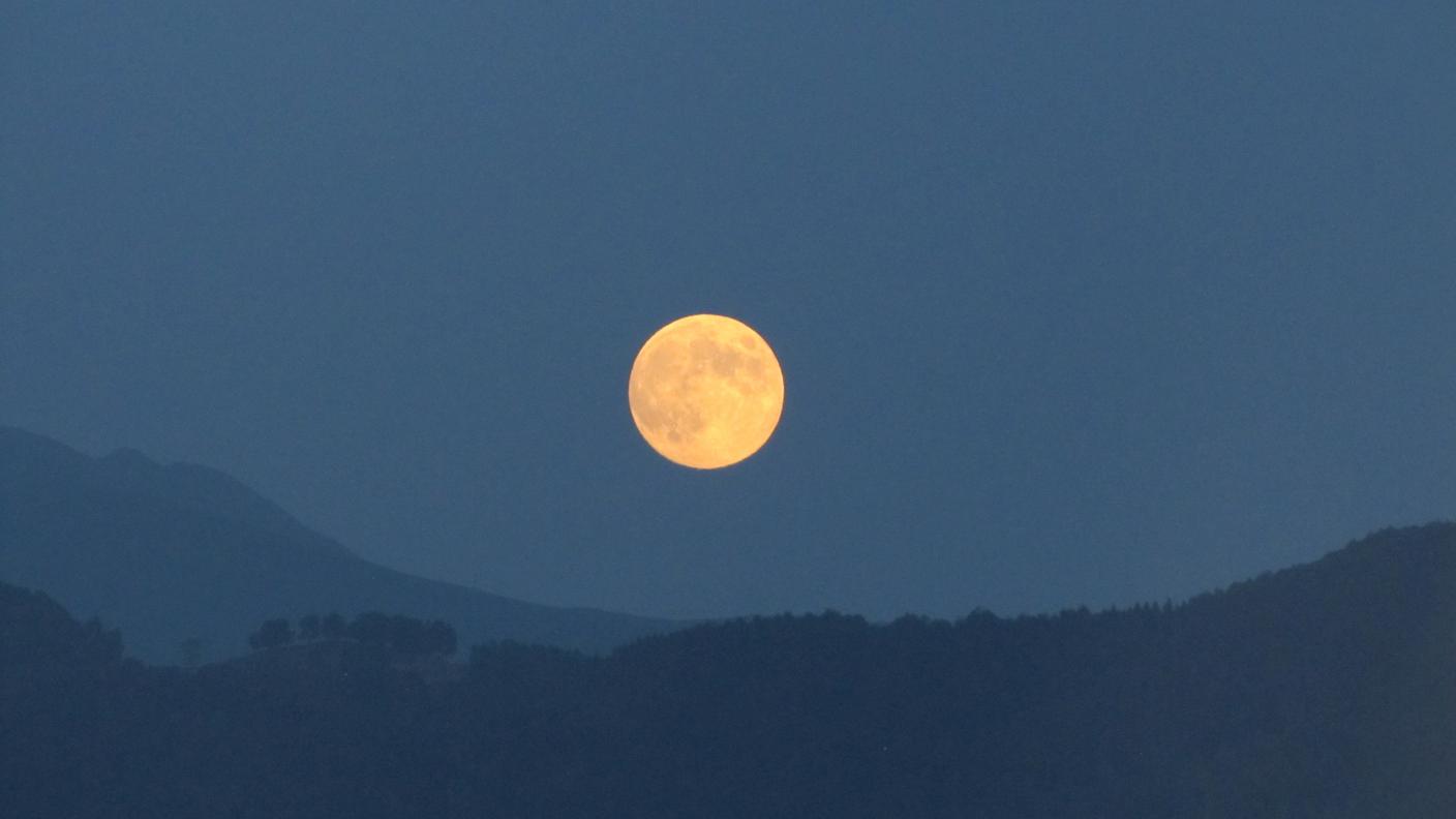 Luna di Morena Stornetta