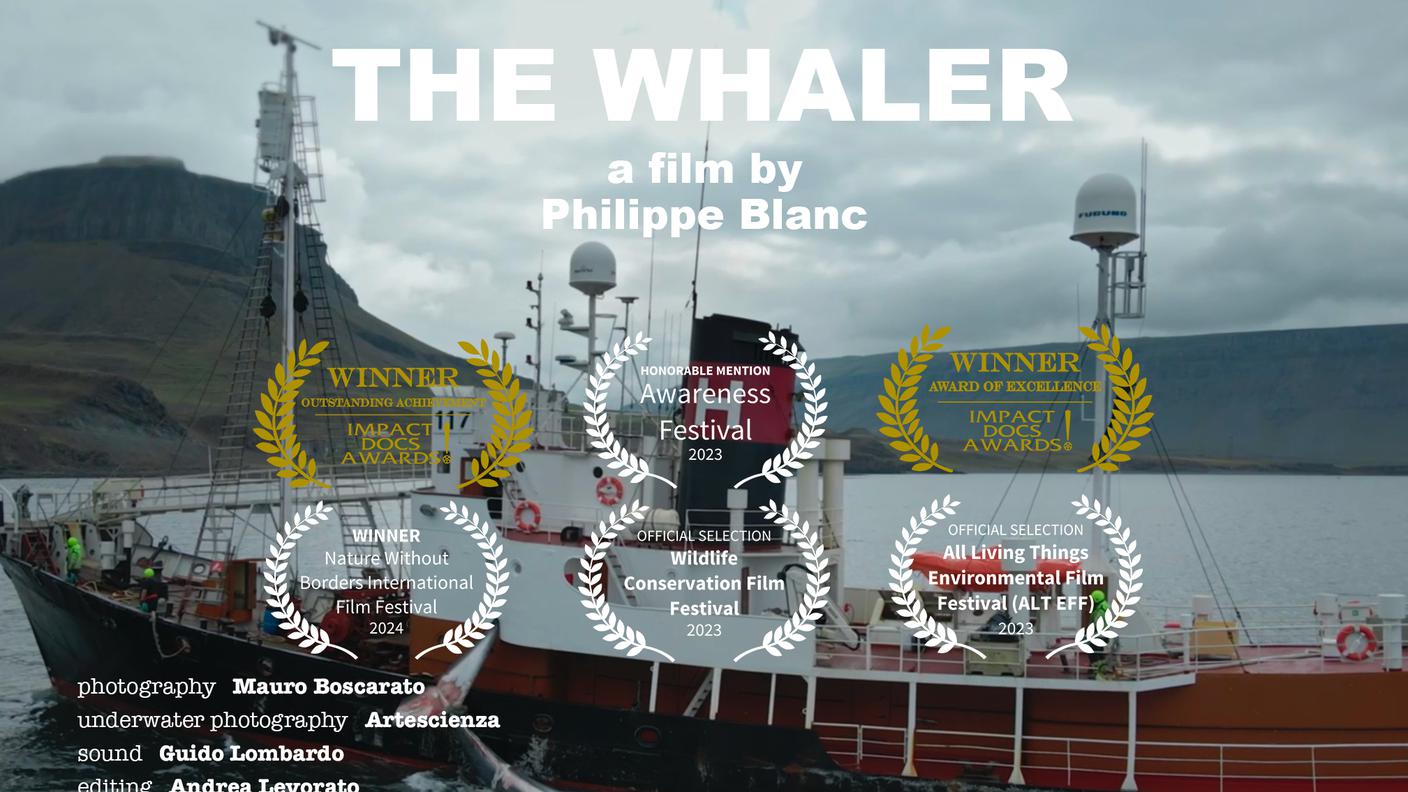 the_whaler