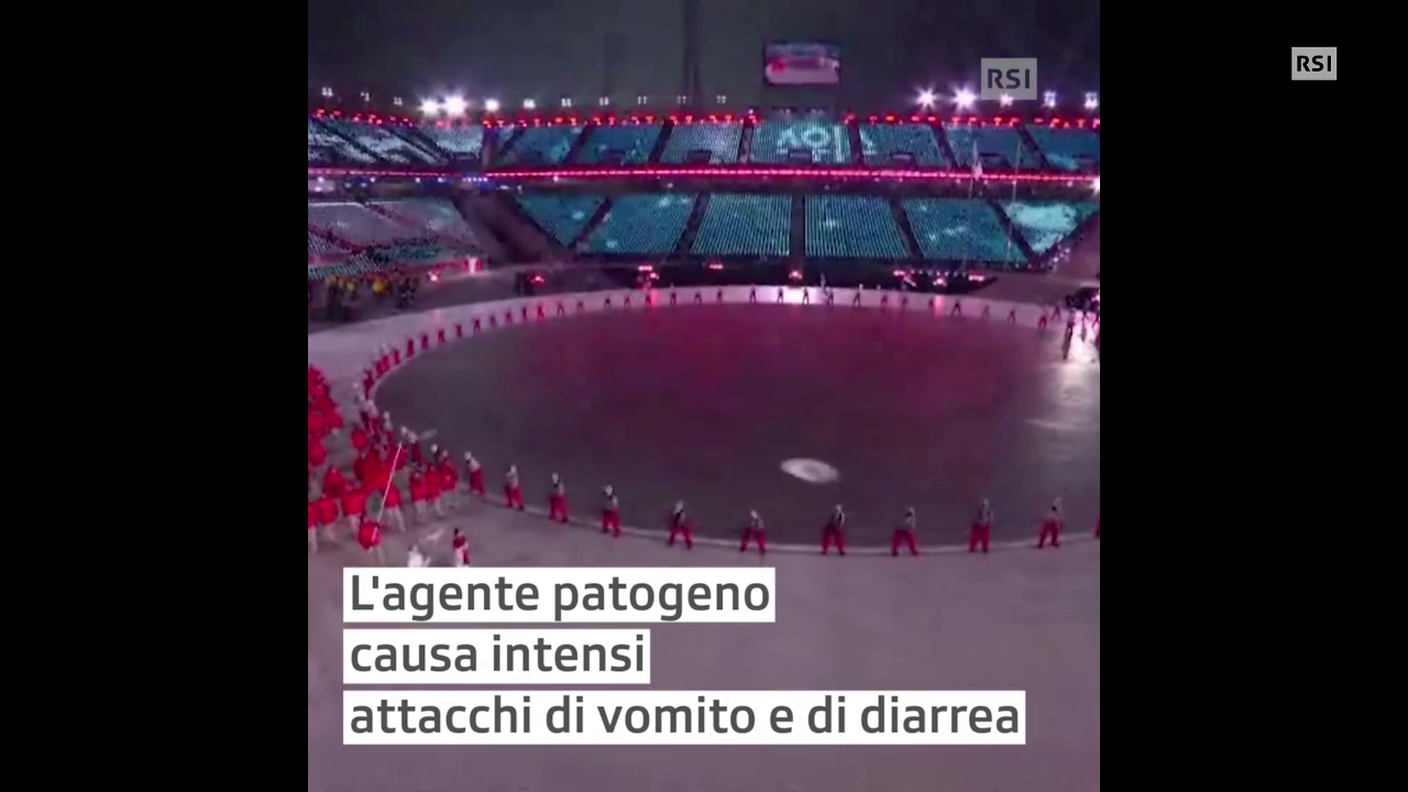 Norovirus, la squadra di freestyle contagiata