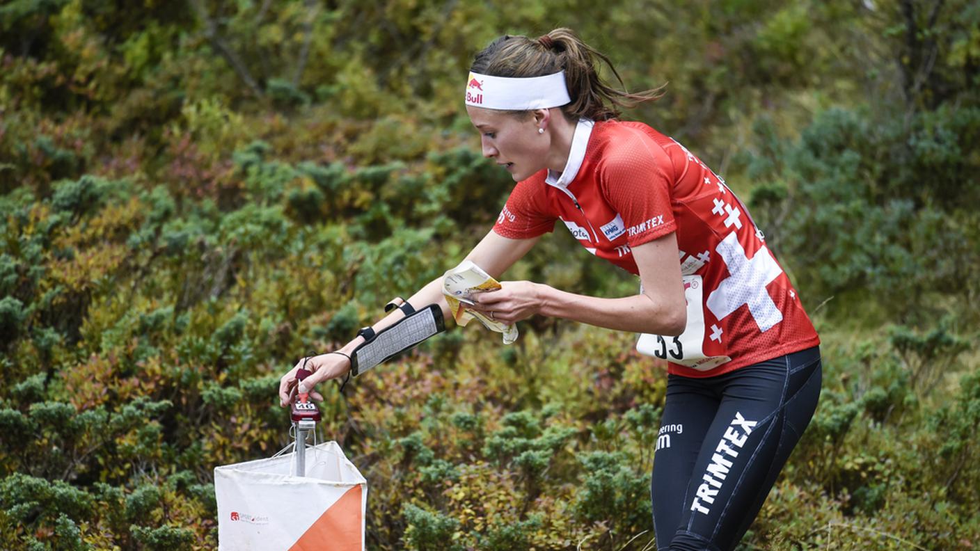 L'elvetica in azione