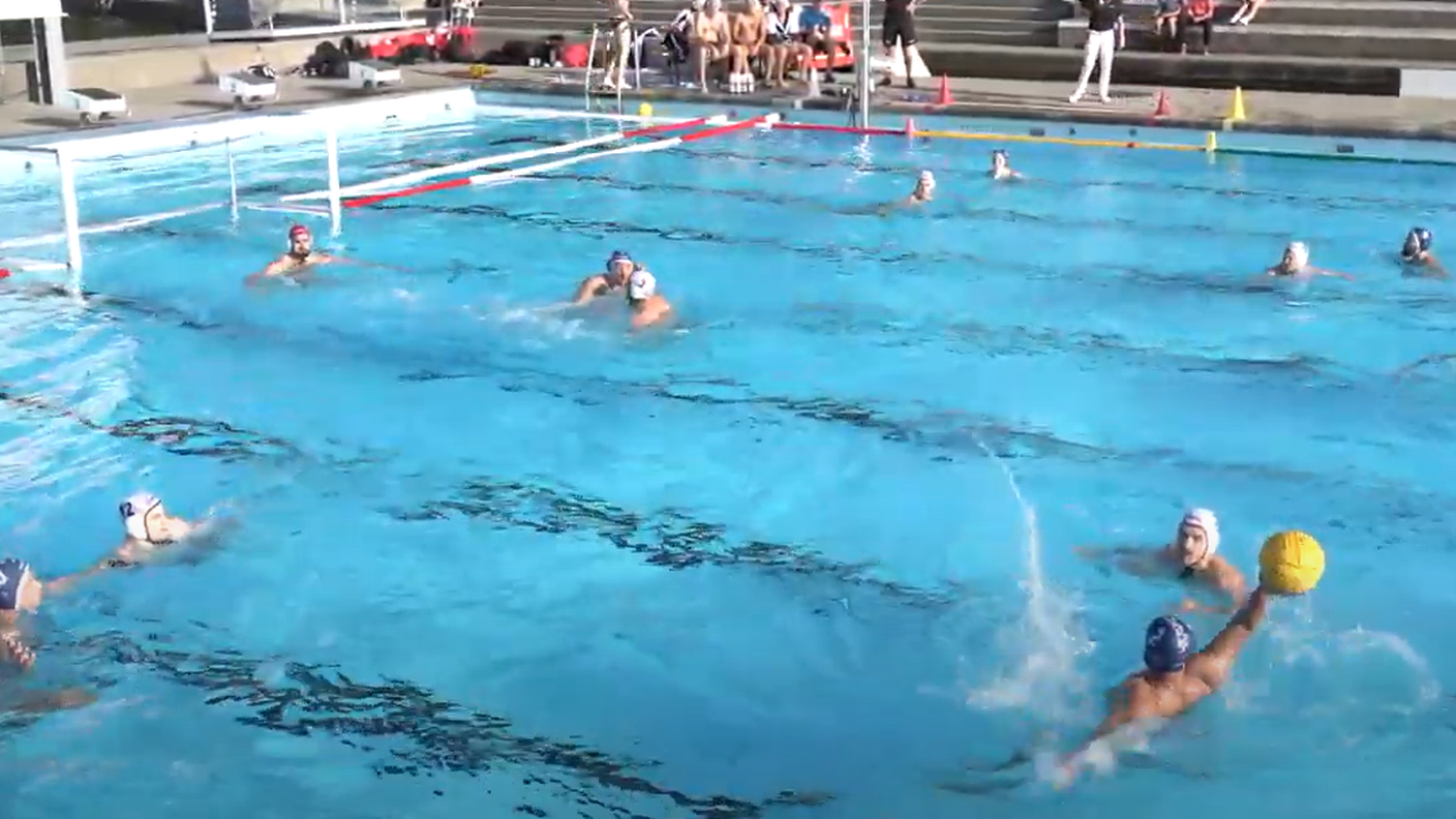 Lugano Sharks
